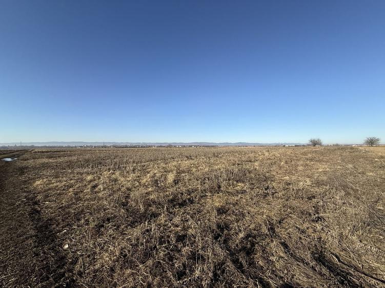 Teren agricol extravilan de 2300 mp, în Est