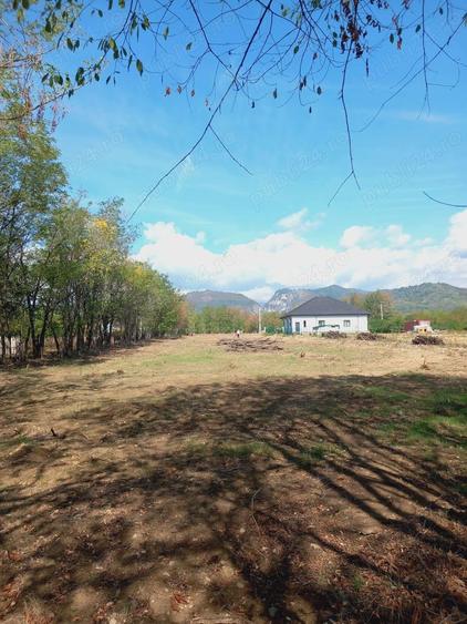 Teren de 3729 mp, în Polovragi