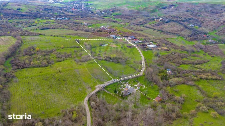 Teren de 33500 mp, în Bucov