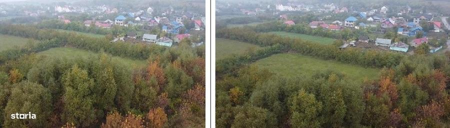 Spațiu comercial, în Băcești