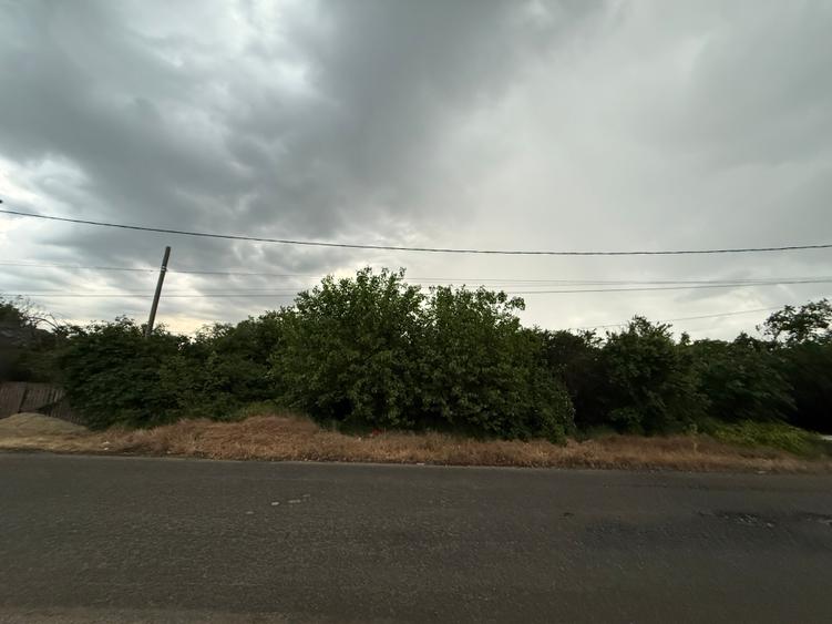 Teren Construcții intravilan de 1000 mp, în Adunații-Copăceni