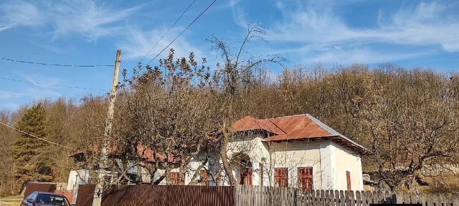 Casă cu Teren 3845 Mp în Leordeni