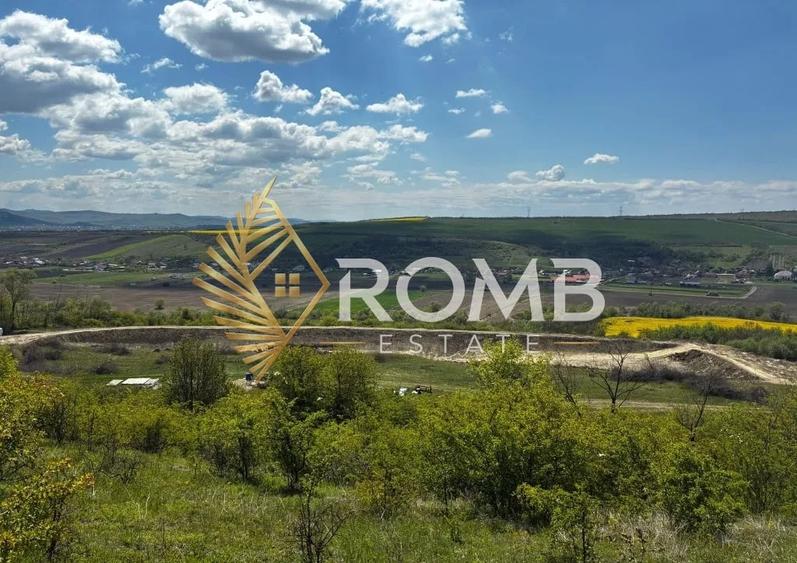 Teren agricol extravilan de 45000 mp, în Luna de Jos