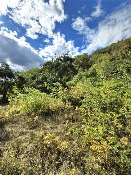 Teren agricol extravilan de 2500 mp, în Periferie