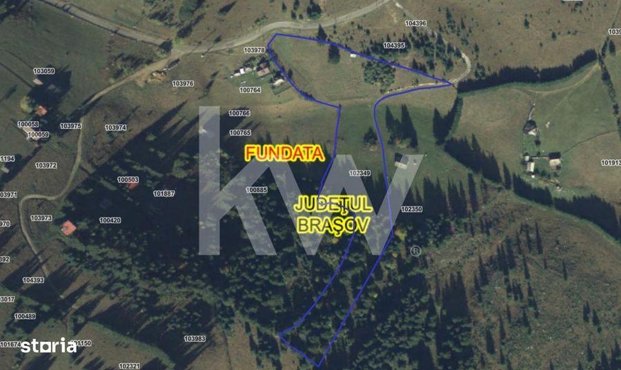 Teren de 18044 mp, în Dâmbovicioara
