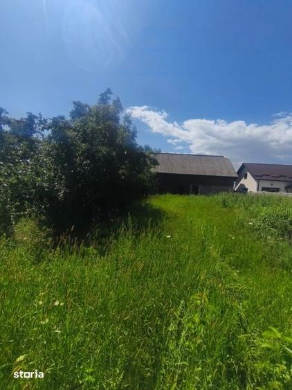 Teren de 10000 mp, în Frătăuții Vechi
