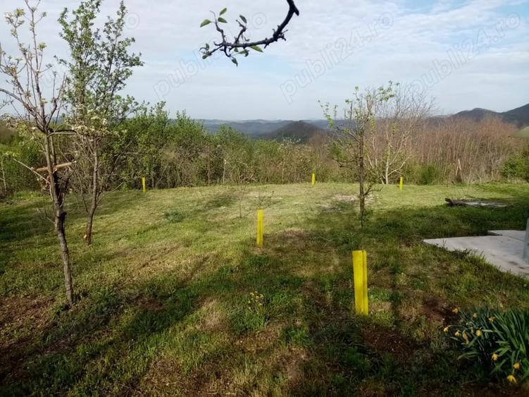 Casă cu 2 camere cu Teren 8000 Mp în Barbura