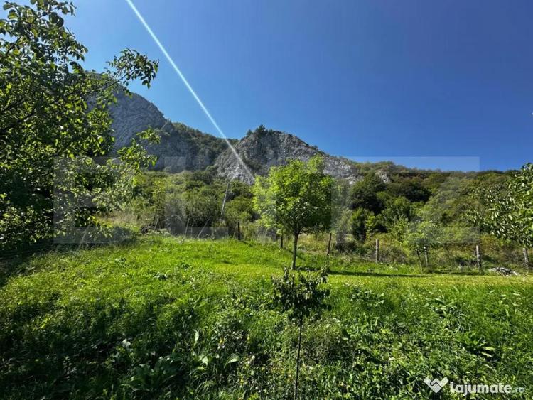 Teren deosebit de vanzare 1800 mp, Cheile Vali?oarei - 4