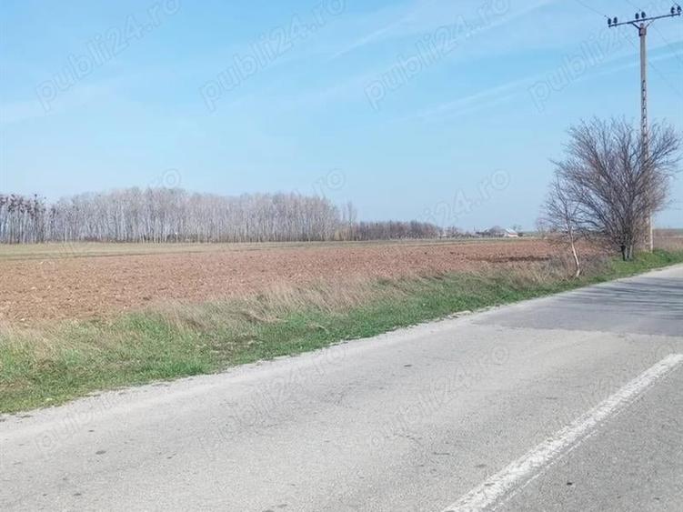 Teren Construcții intravilan de 9100 mp, în Coșoveni