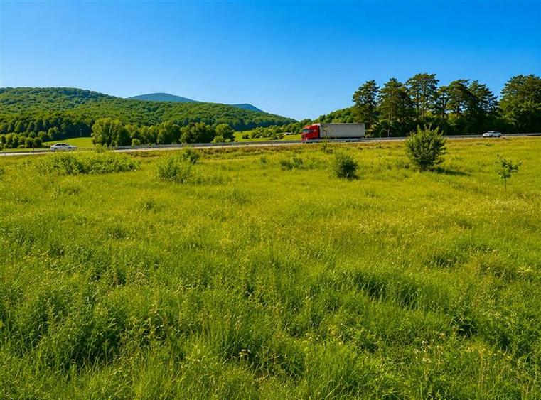 Teren agricol extravilan de 22500 mp, în Periferie