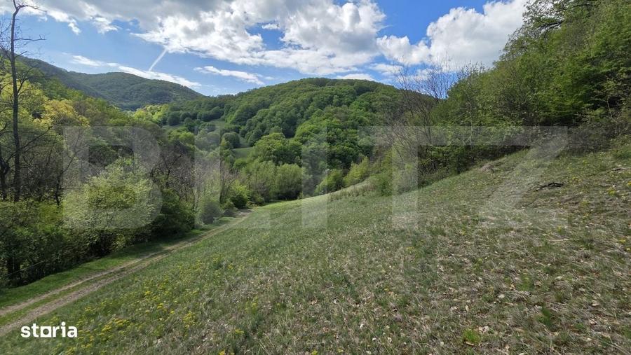 Spațiu comercial, în Pădure