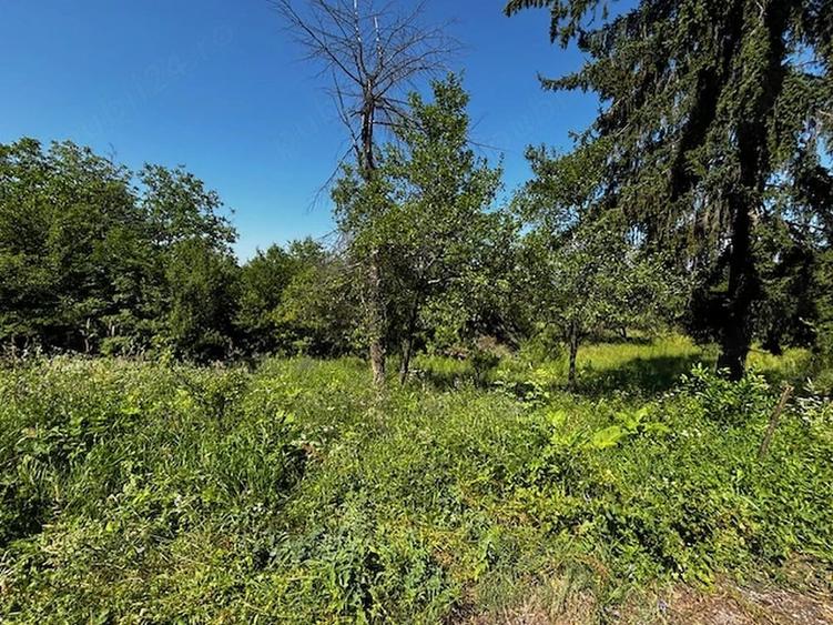 Teren de 3100 mp, în Dăești