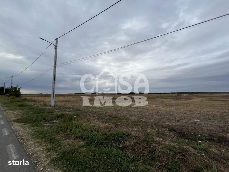 Teren de 1100 mp, în Mogoșani