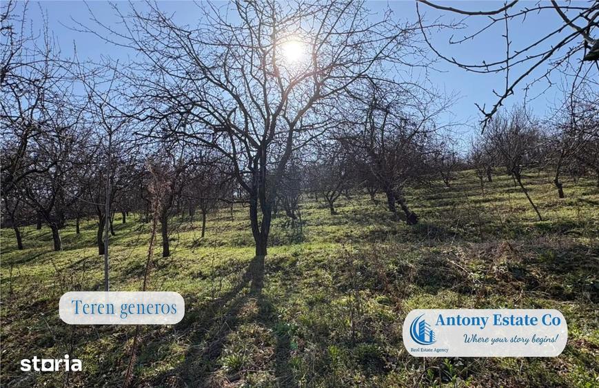 Antony Estate | Casa cu Livada proprietate deosebita, 300 pomi fruct - 9