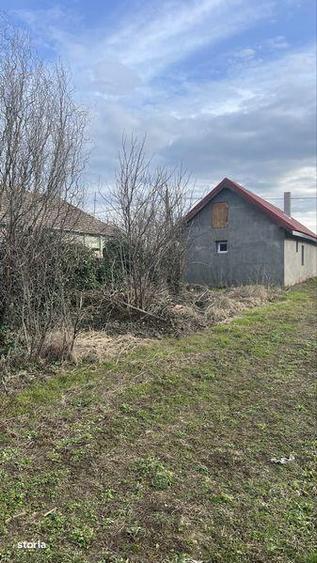 Teren de 8934 mp, în Foeni