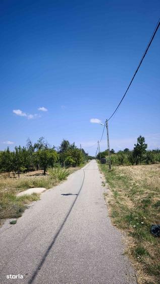 Teren de 9177 mp, în Dănicei