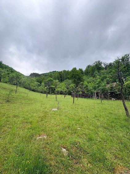 Teren de 5890 mp, în Uric