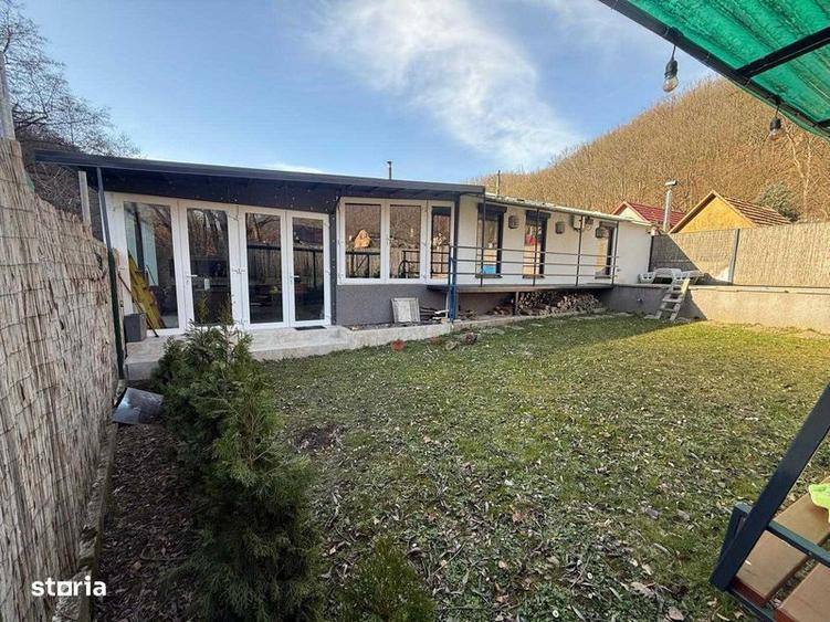 Casa de vacanta Padurea Neagra - 7