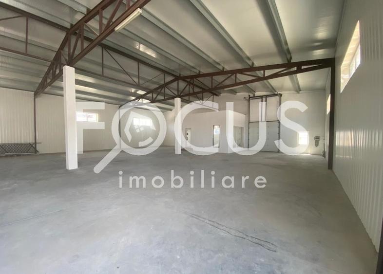 Spațiu industrial, de 1,196 mp, în Șag