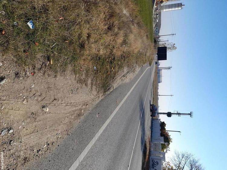 Teren de 15000 mp, în Sud