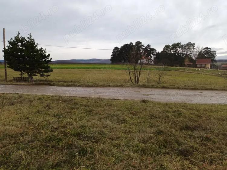 Teren de 2200 mp, în Valea Crișului