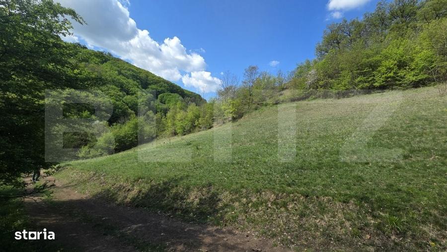 Spațiu comercial, în Pădure