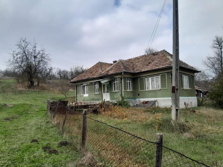 Casă cu 3 camere în Țentea
