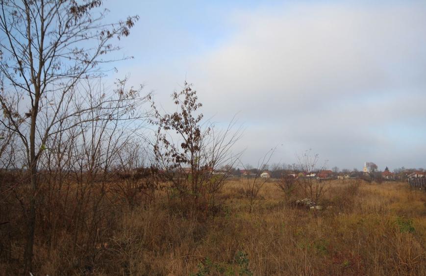 Teren agricol extravilan de 39500 mp, în Freidorf