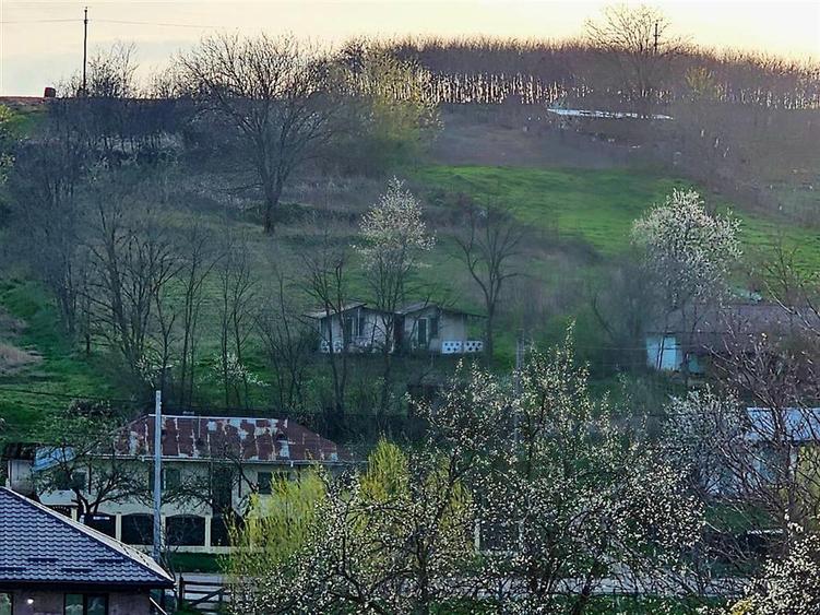 Teren Construcții intravilan de 2260 mp, în Holboca
