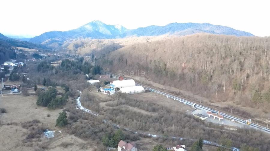 Teren Construcții intravilan de 8444 mp, în Timișu de Jos