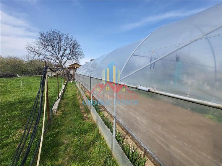 Casă individuală cu 5 camere cu Teren 1387 Mp în Suseni