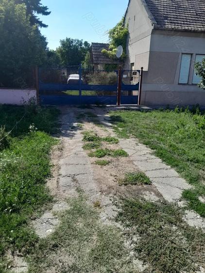 Casă cu 5 camere cu Teren 3800 Mp în Central