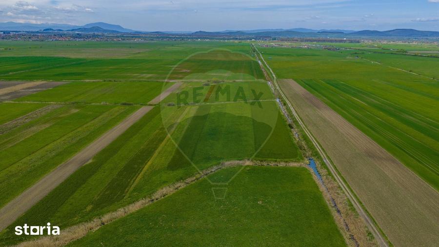 Teren de 4000 mp, în Prejmer
