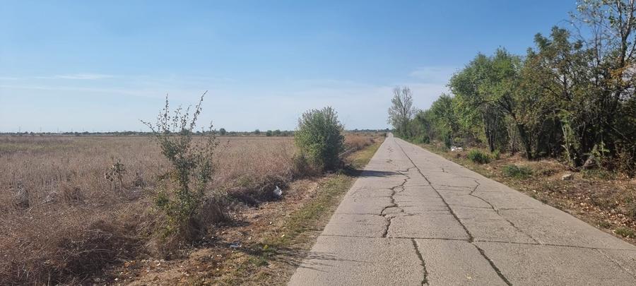 Teren agricol intravilan de 10000 mp, în Tâncăbești