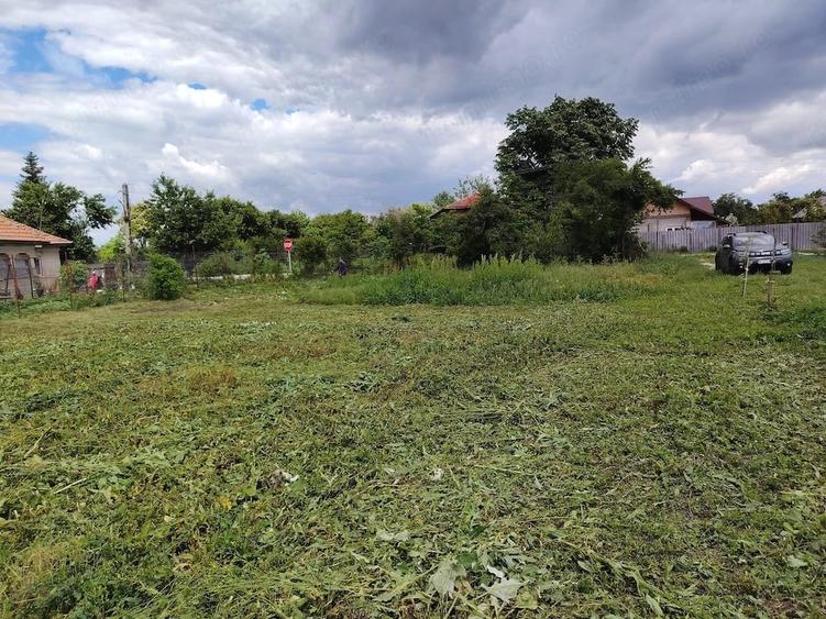 Teren de 5000 mp, în Corbii Mari