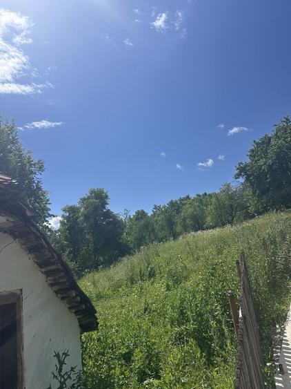 Teren de 2012 mp, în Boteni