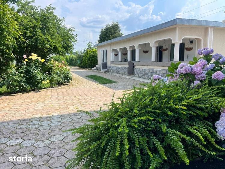 Casă cu 6 camere cu Teren 5000 Mp în Dârmănești
