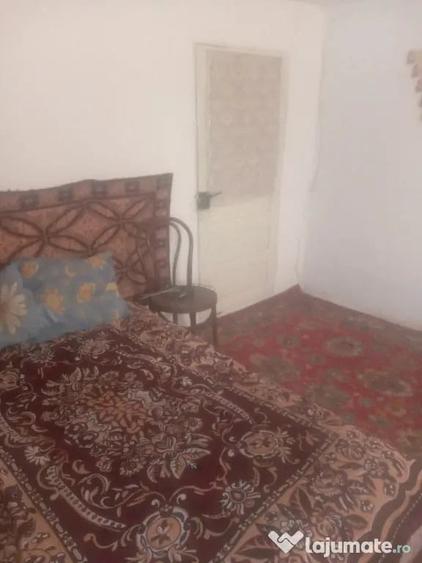 Casă cu 2 camere în Central