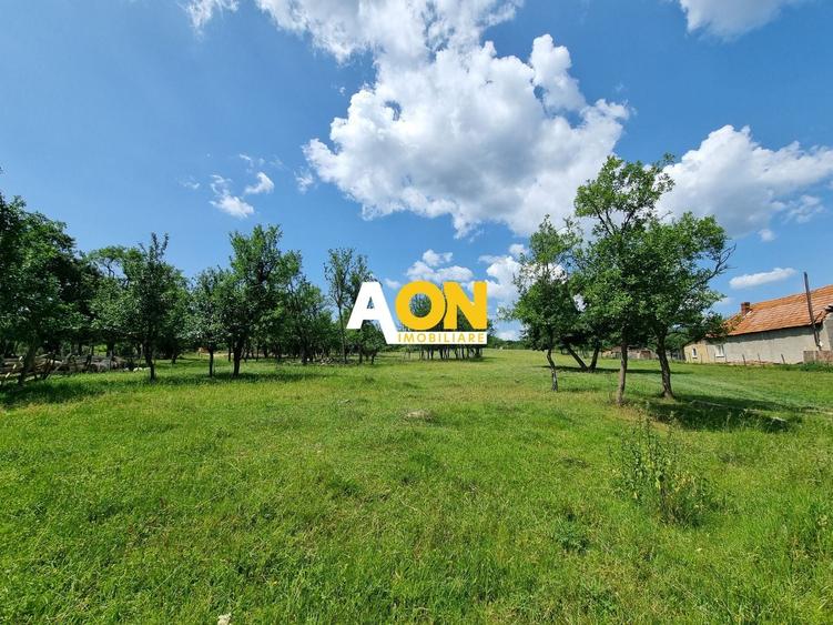 Teren Construcții intravilan de 5898 mp, în Periferie