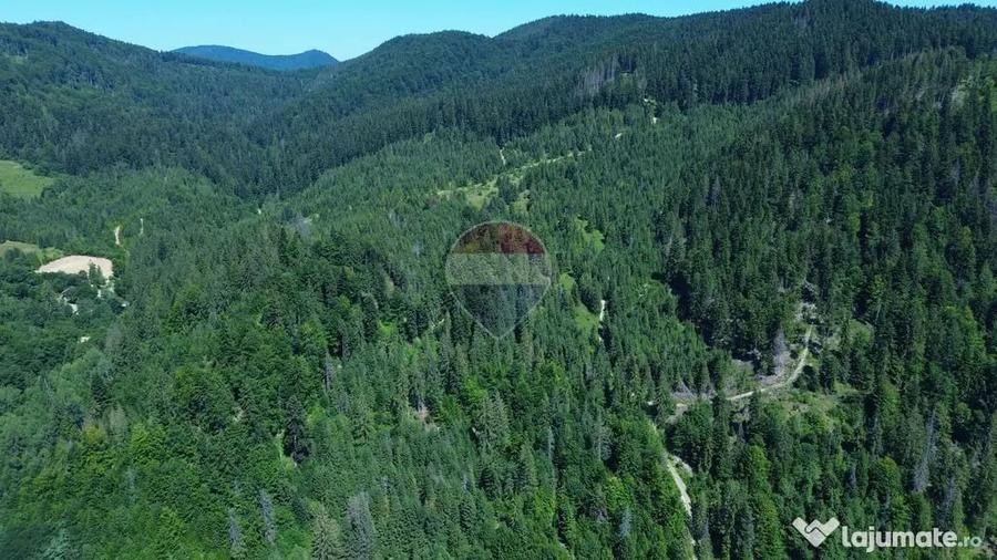 Teren 120.000 mp Sucevi?a oportunitate de investi?i... - 10