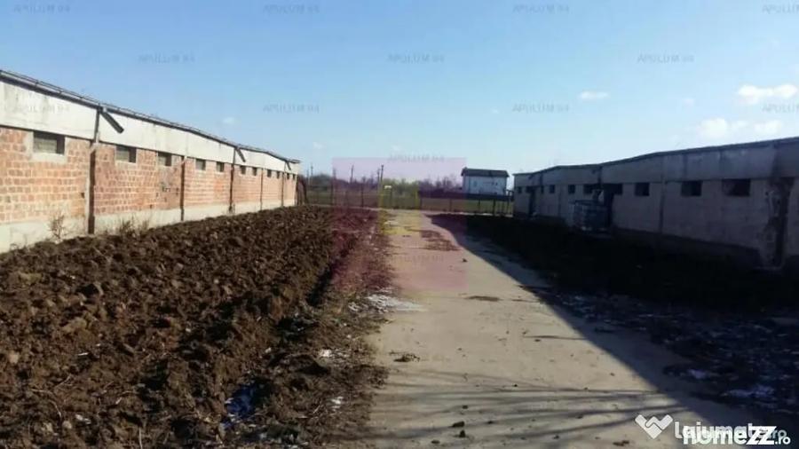Teren Balotesti- Saftica- ideal pentru constructie locuinte. - 6
