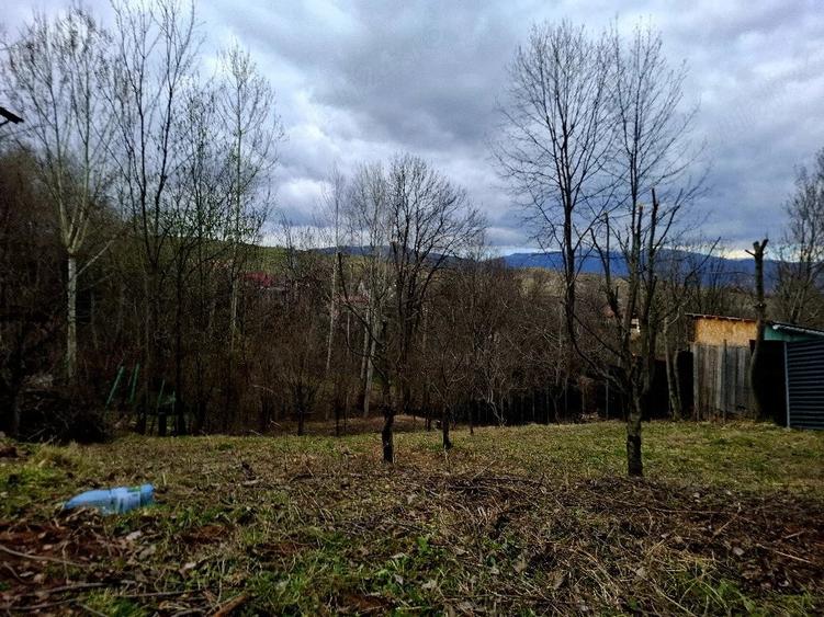 Teren de 873 mp, în Central