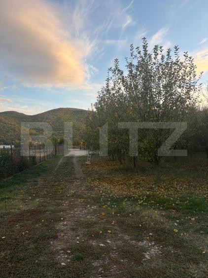 Casă individuală cu 5 camere cu Garaj în Șard