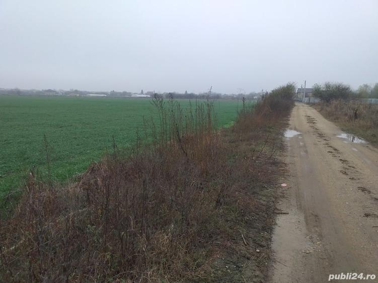 Teren de 2406 mp, în 1 Decembrie