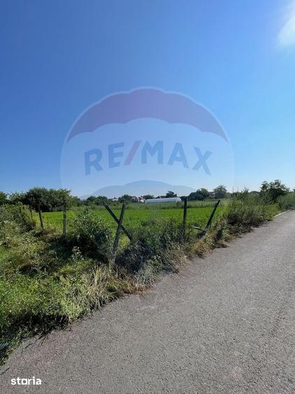 Teren de 1270 mp, în Central