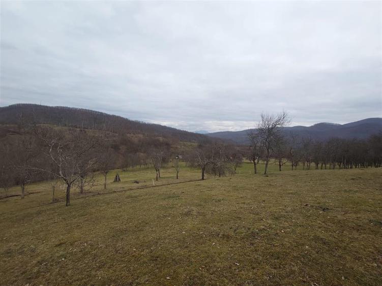 Teren intravilan de 11423 mp, în Luncoiu de Jos