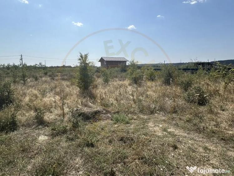Teren zona Magic Trivale intravilan 1040 mp - 1