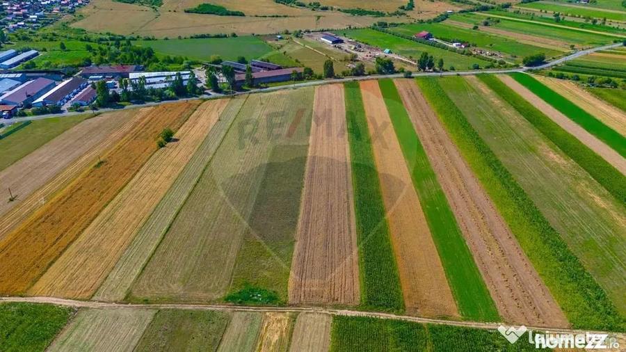 Teren de 7000 mp, în Teliu
