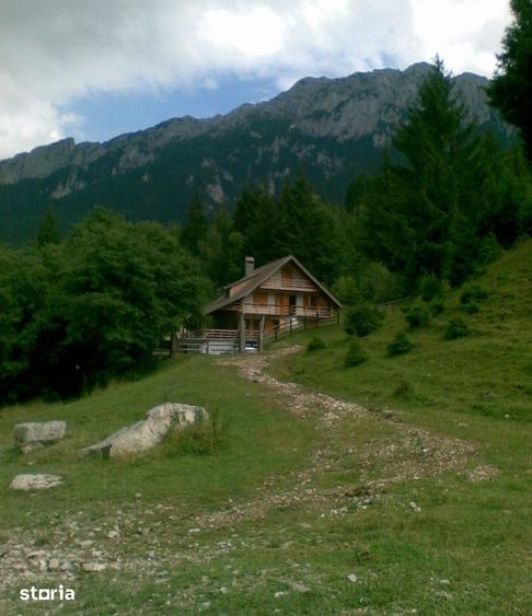 Vanzare Cabana in pitorerscul peisaj din Plaiul Foii, Zarnesti Brasov - 17