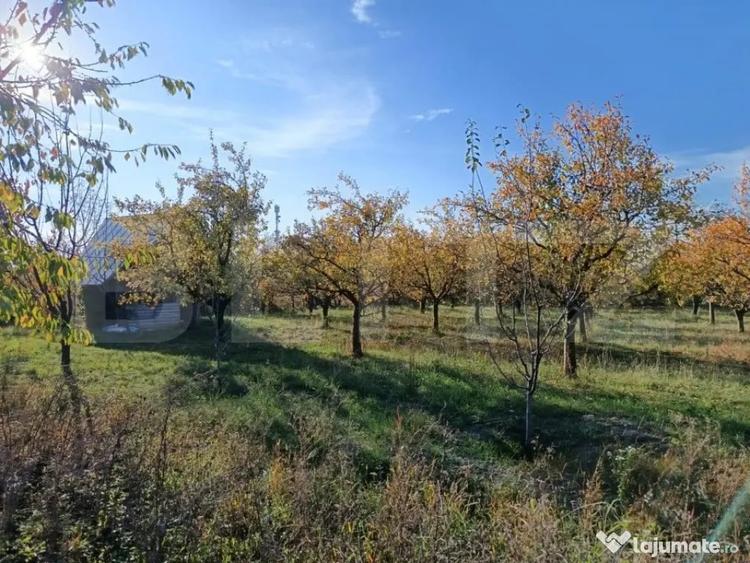 Teren de 6360 mp, în Măgurele